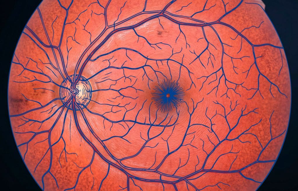 Exámenes de Retina - Fundonal